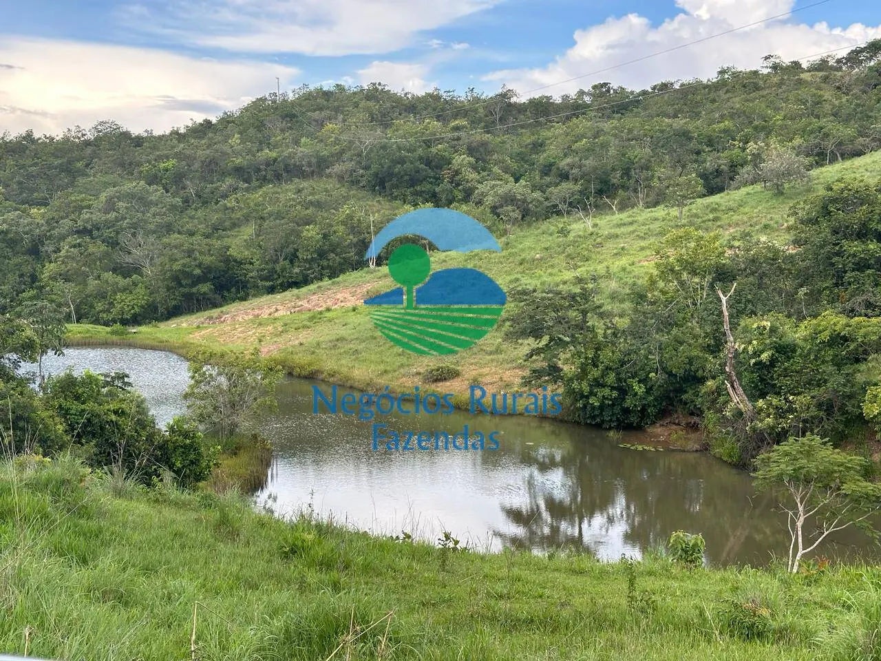Fazenda à venda de 469 ha em Pires do Rio, GO, Brasil