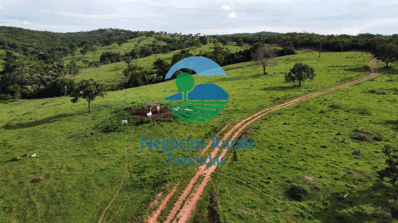 Fazenda à venda de 469 ha em Pires do Rio, GO, Brasil