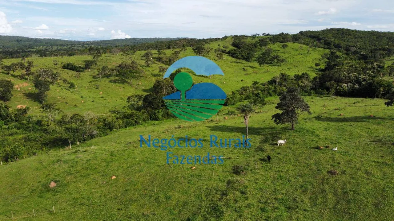 Fazenda à venda de 469 ha em Pires do Rio, GO, Brasil