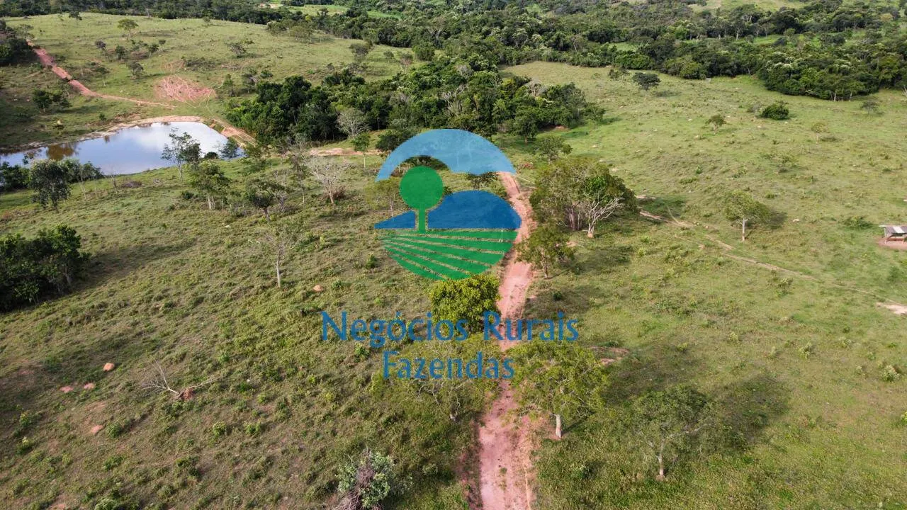 Fazenda à venda de 469 ha em Pires do Rio, GO, Brasil