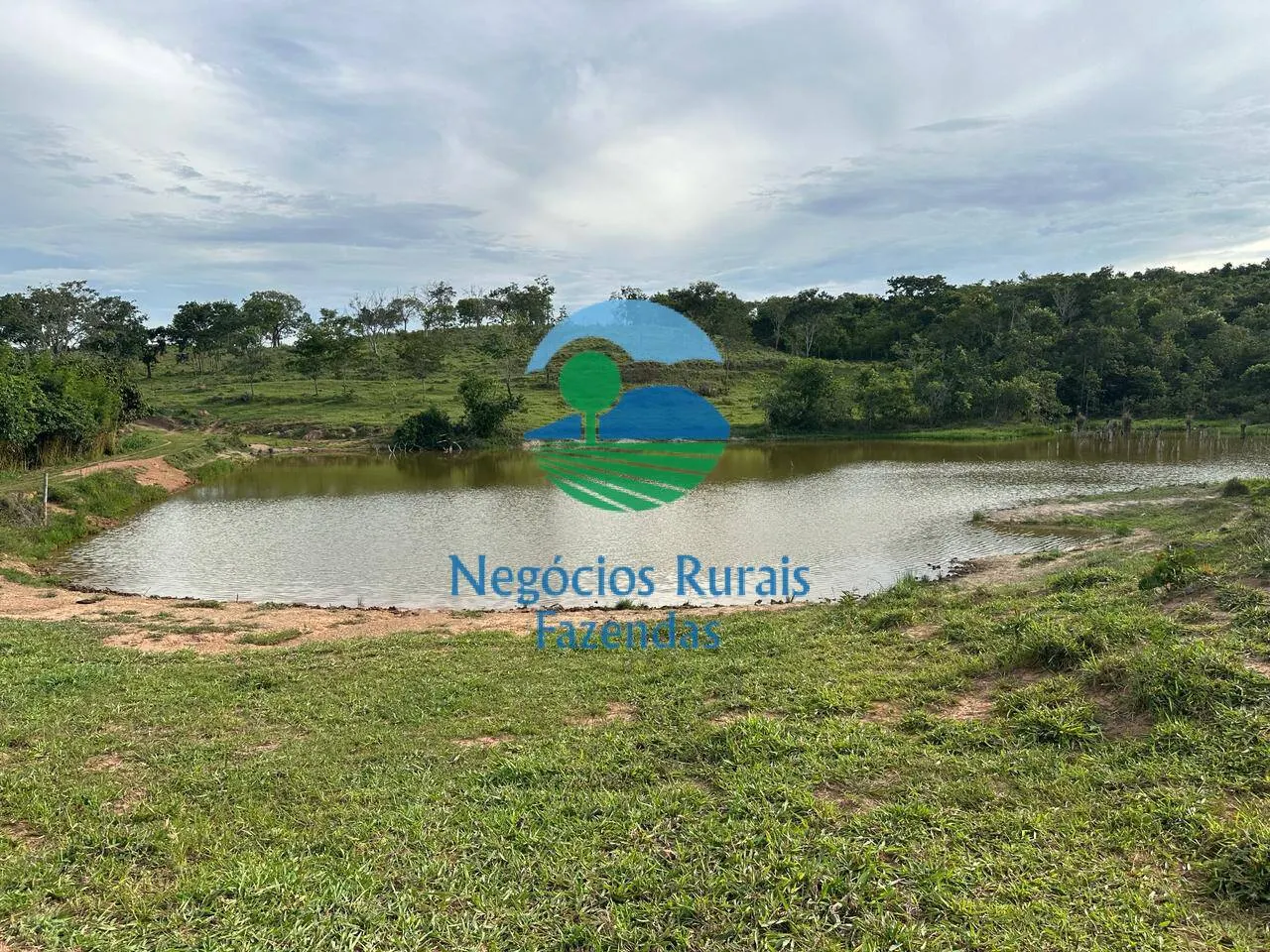 Fazenda à venda de 469 ha em Pires do Rio, GO, Brasil