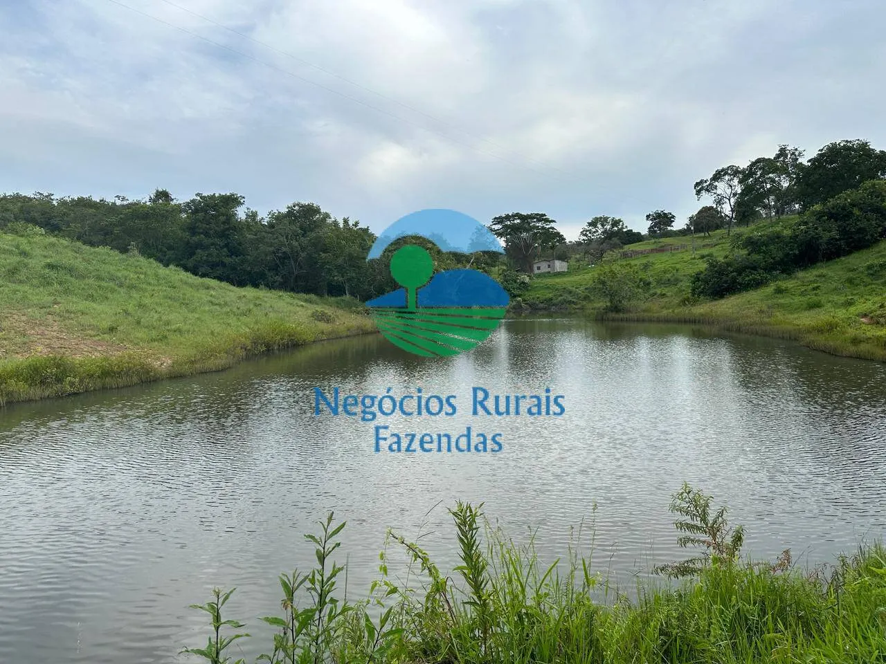 Fazenda à venda de 469 ha em Pires do Rio, GO, Brasil