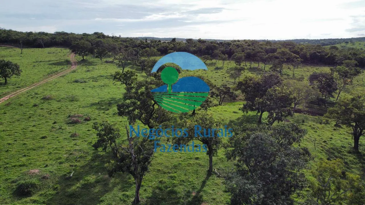 Fazenda à venda de 469 ha em Pires do Rio, GO, Brasil