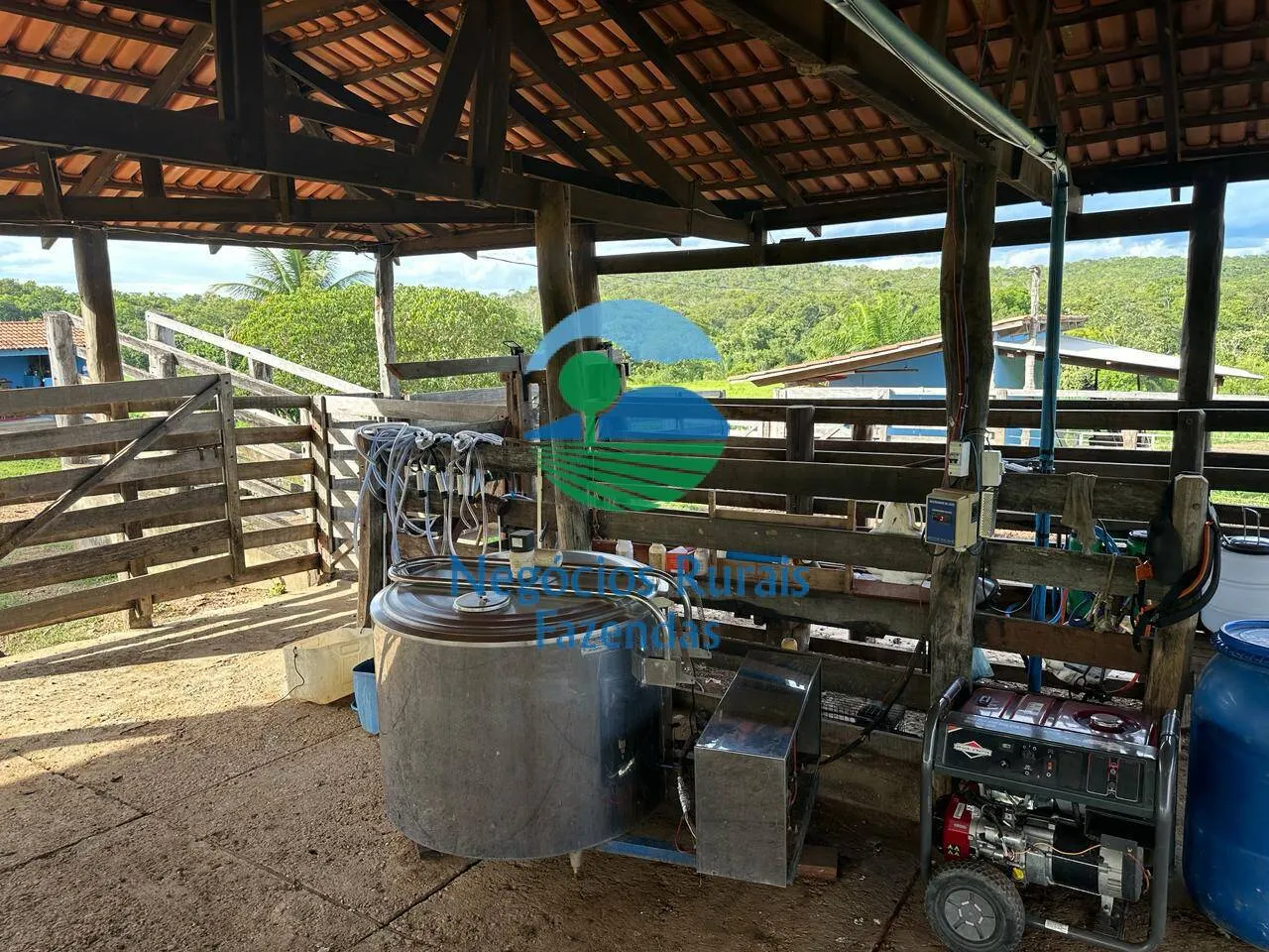 Fazenda à venda de 469 ha em Pires do Rio, GO, Brasil