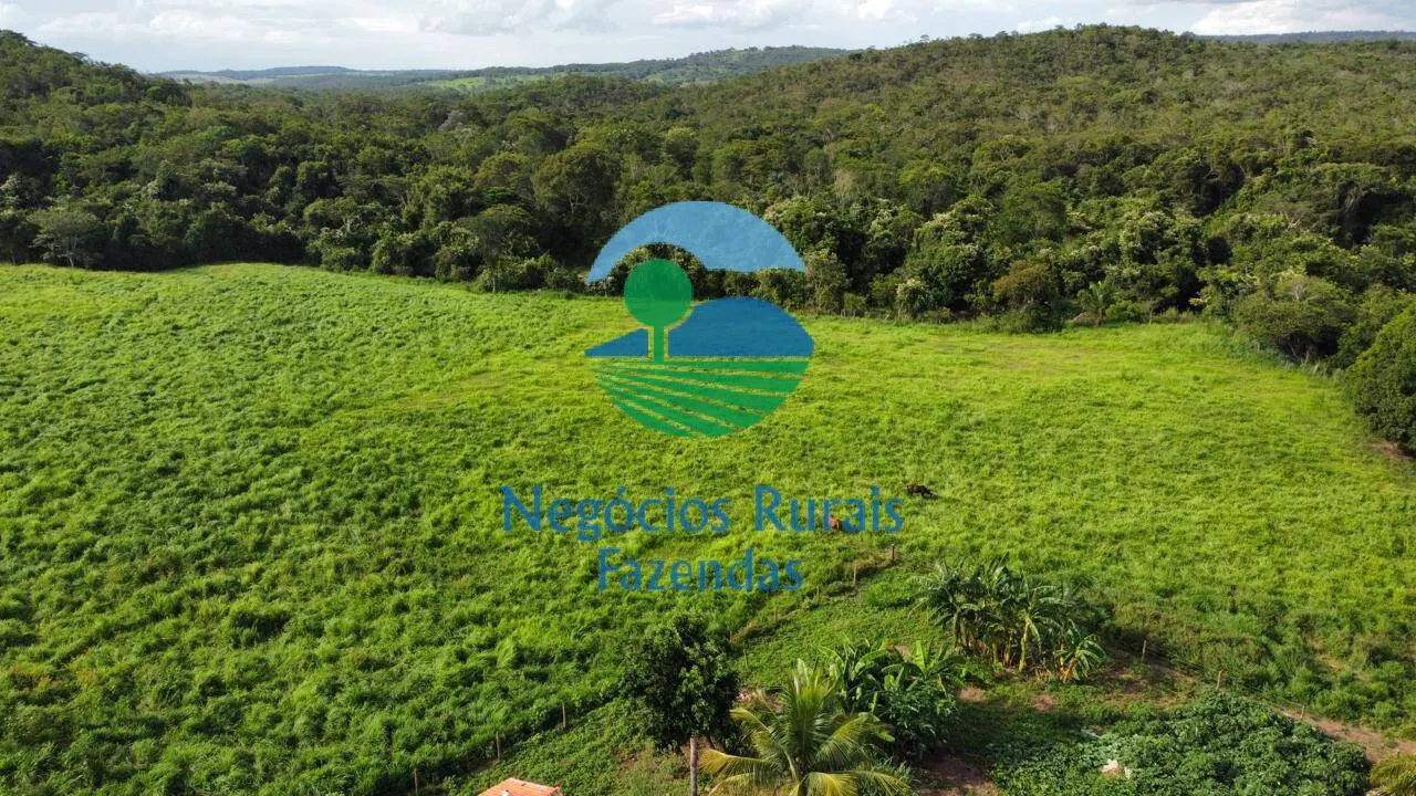 Fazenda à venda de 469 ha em Pires do Rio, GO, Brasil