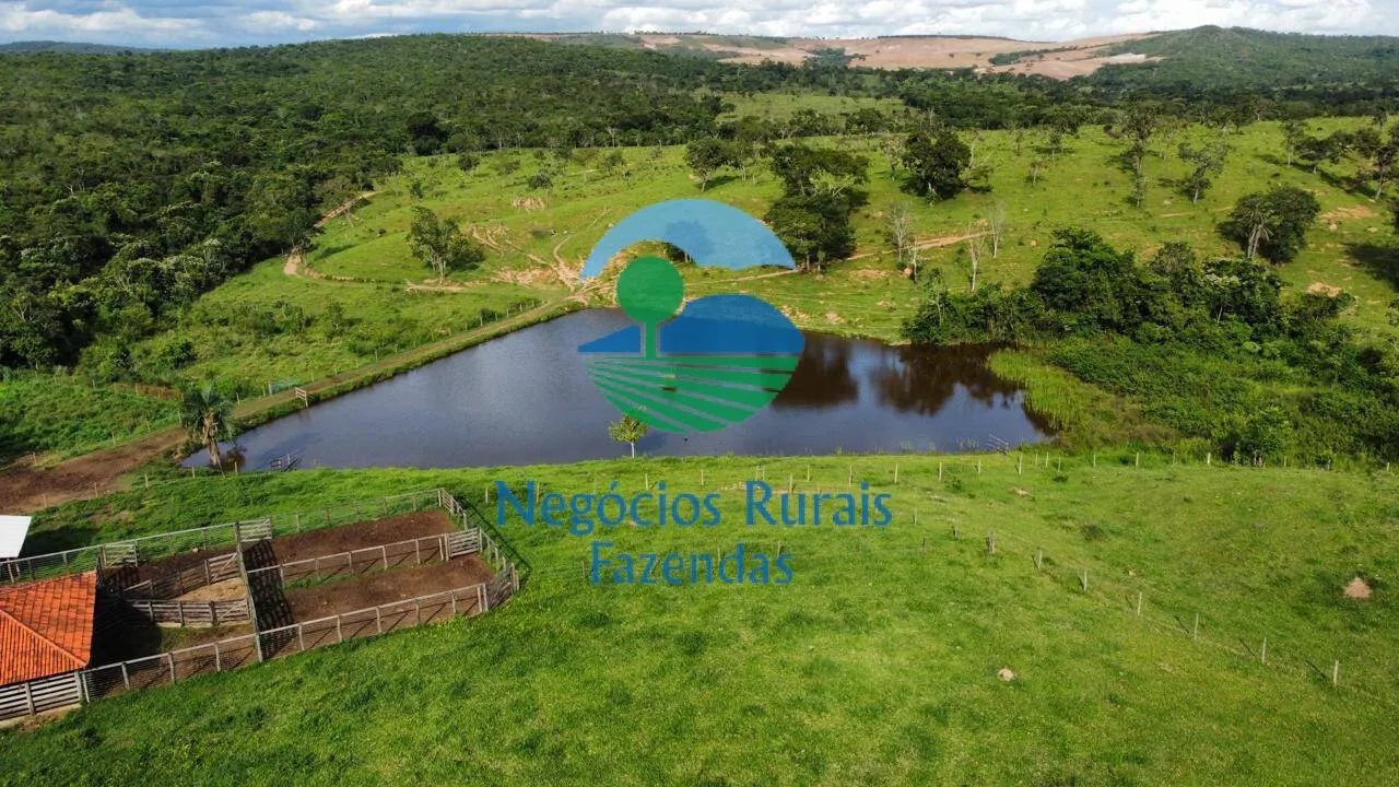 Fazenda à venda de 469 ha em Pires do Rio, GO, Brasil