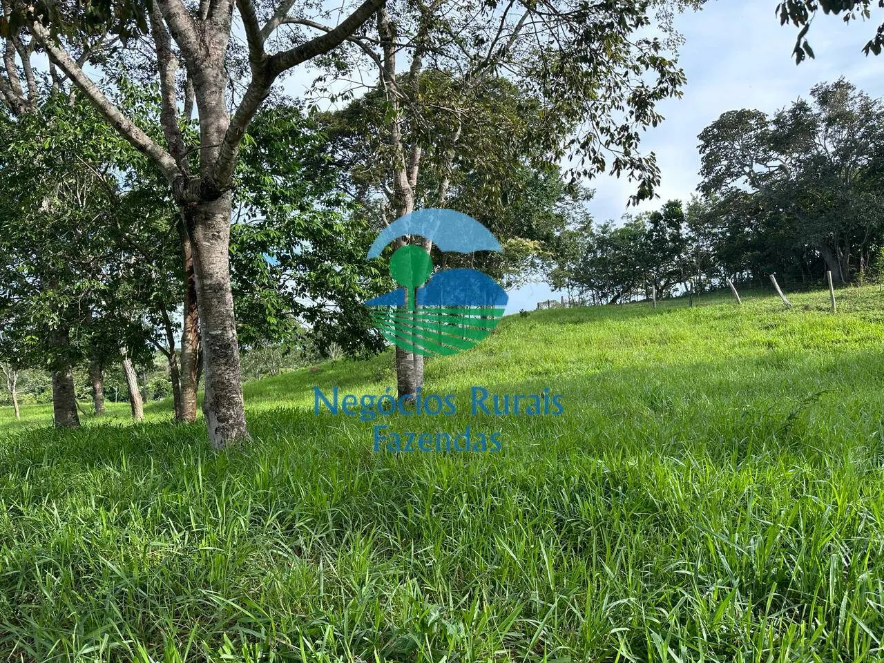 Fazenda à venda de 469 ha em Pires do Rio, GO, Brasil