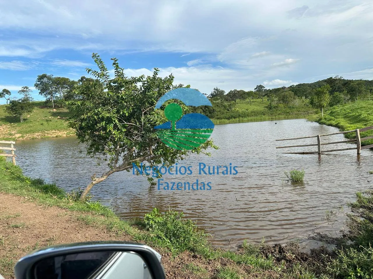 Fazenda à venda de 469 ha em Pires do Rio, GO, Brasil