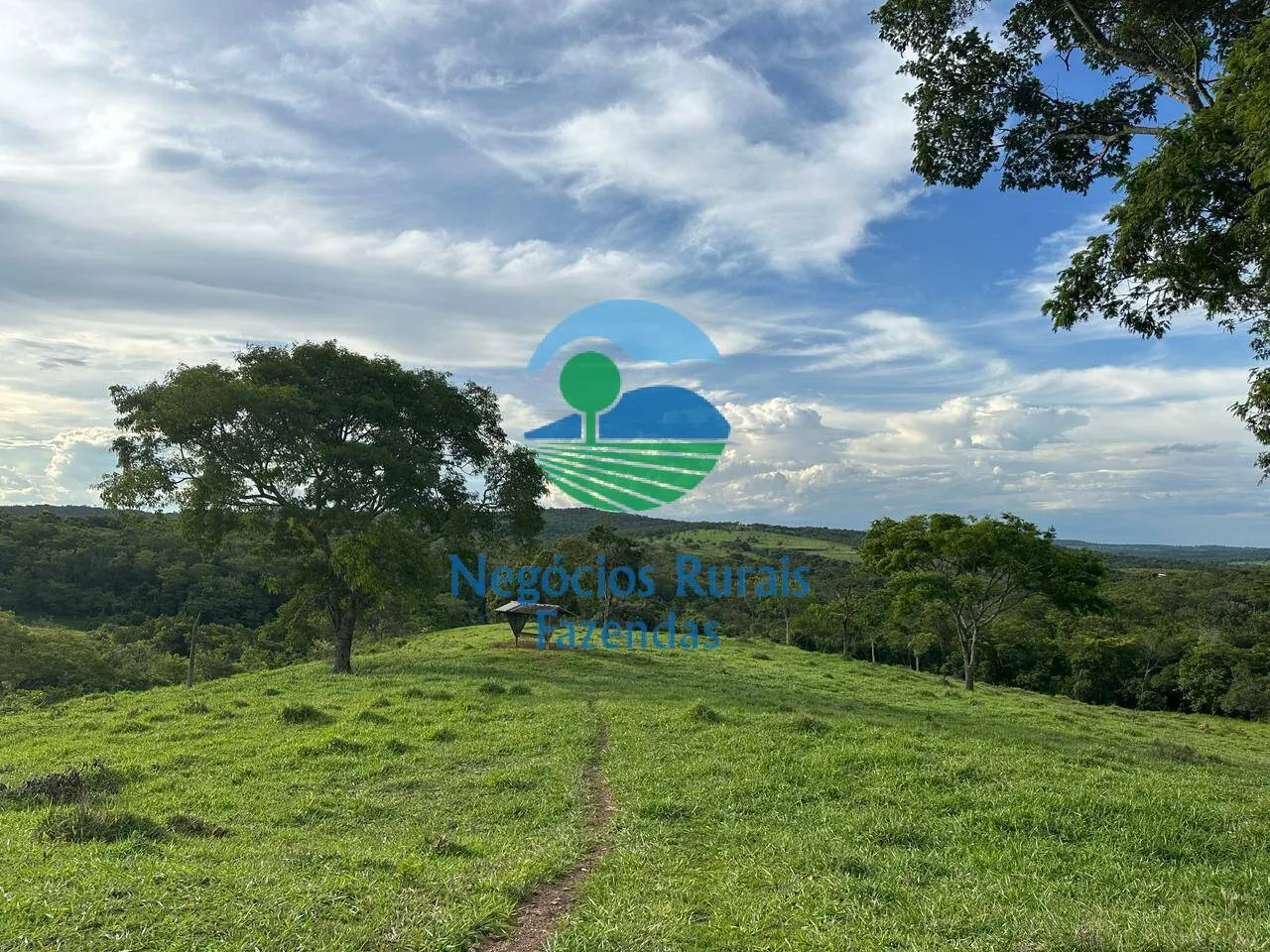 Fazenda à venda de 469 ha em Pires do Rio, GO, Brasil