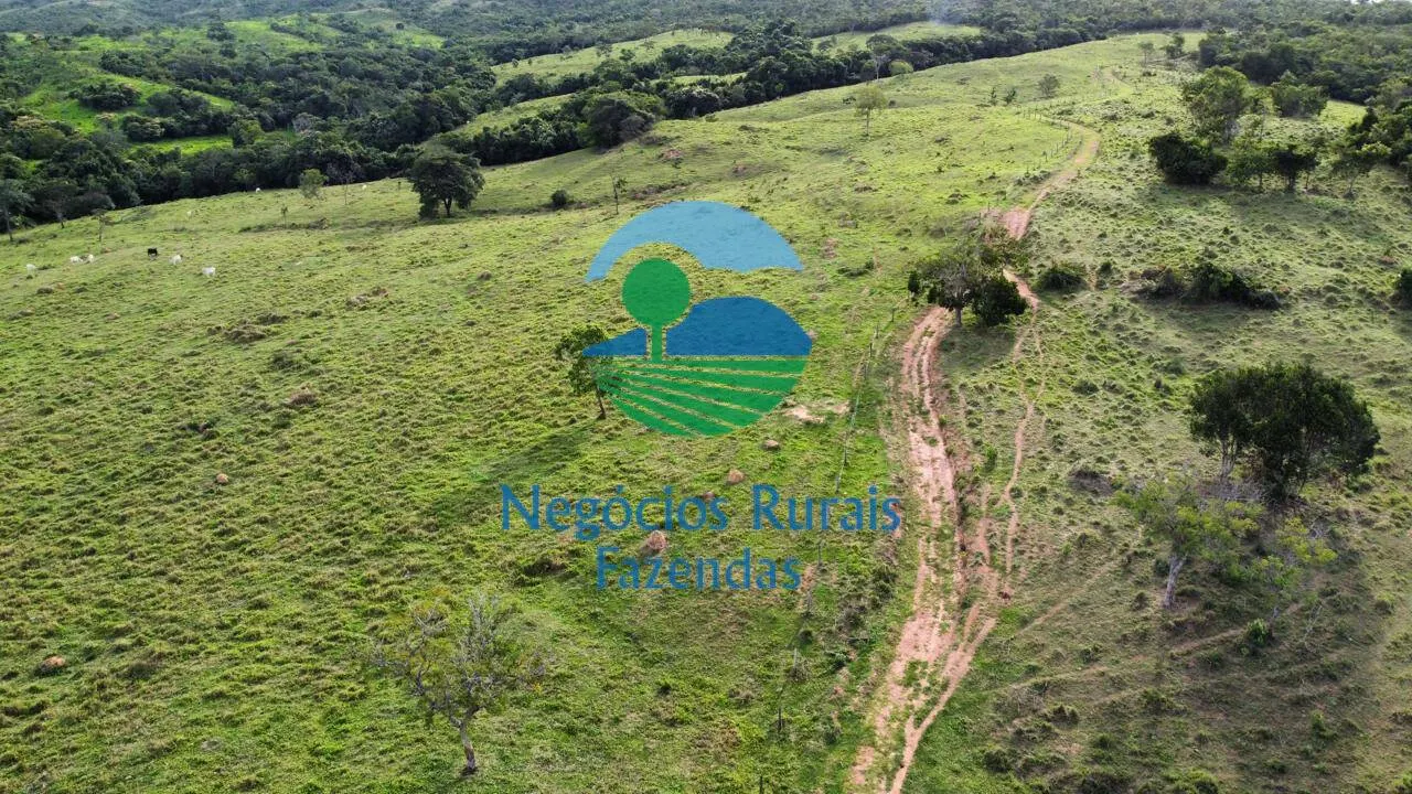 Fazenda à venda de 469 ha em Pires do Rio, GO, Brasil