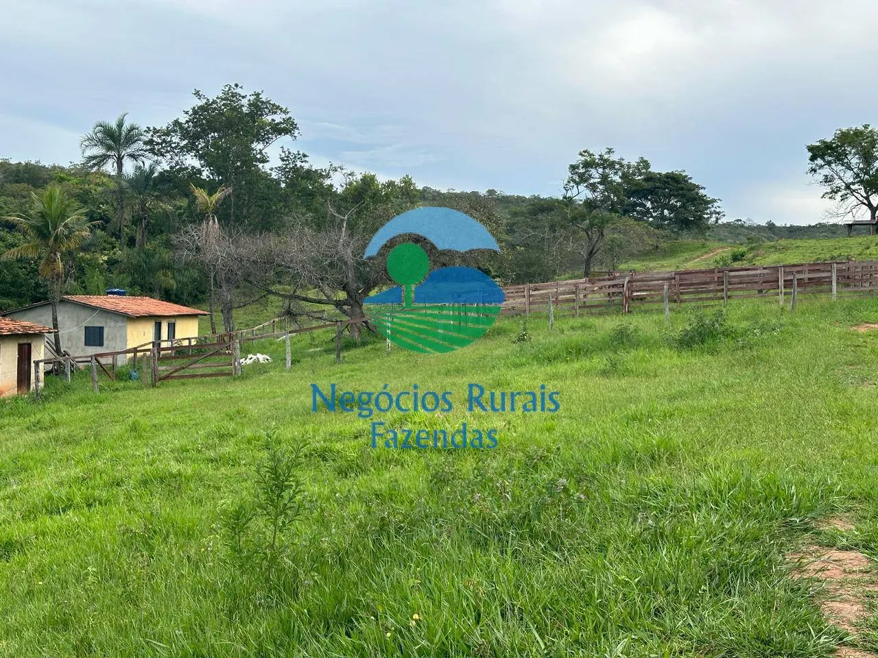 Fazenda à venda de 469 ha em Pires do Rio, GO, Brasil