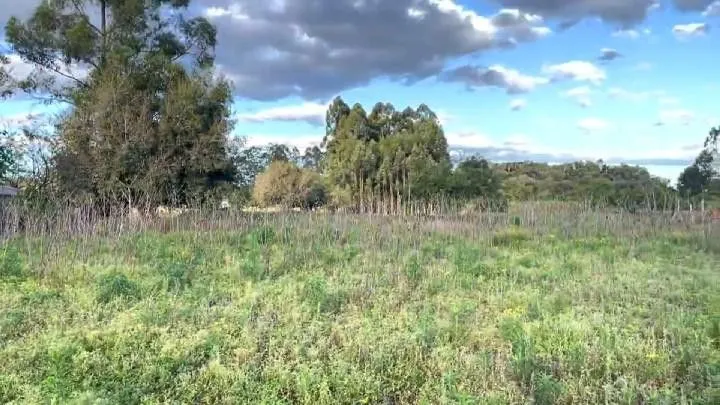 Country home for sale of 8 acres in Parobé, RS, Brazil