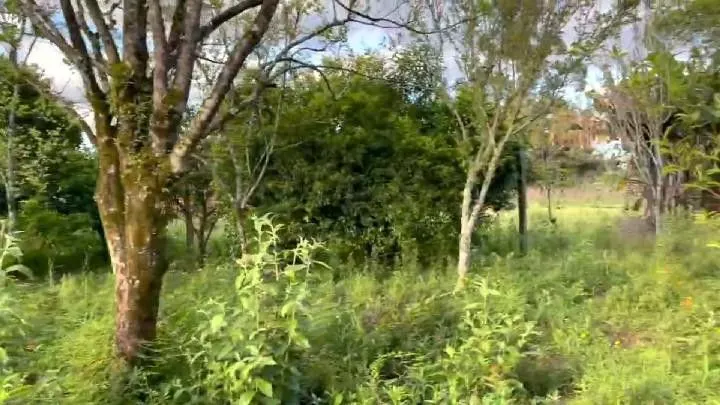 Country home for sale of 8 acres in Parobé, RS, Brazil