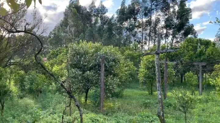 Country home for sale of 8 acres in Parobé, RS, Brazil