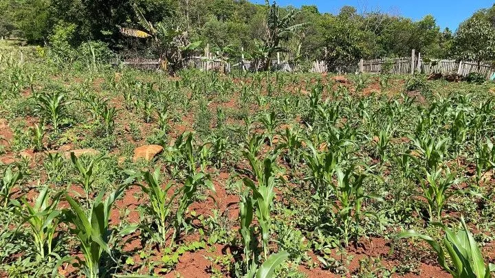 Chácara à venda de 4.300 m² em Santo Antônio da Patrulha, RS, Brasil