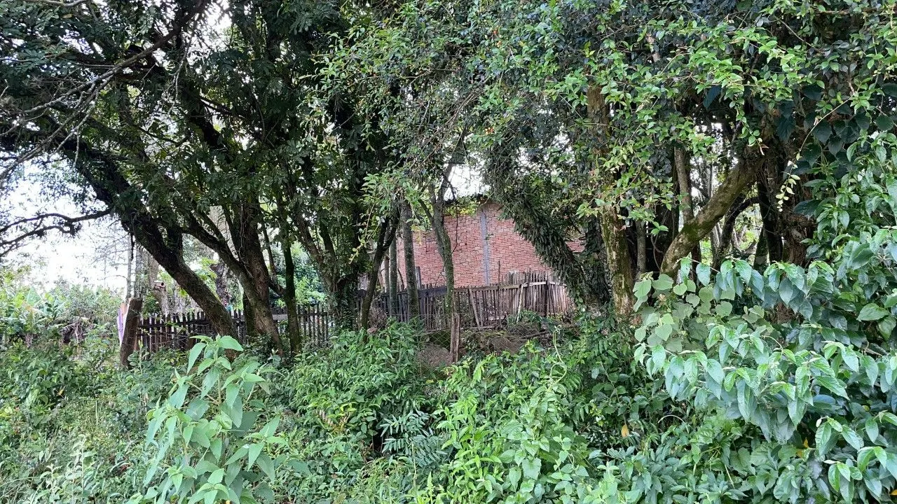 Chácara à venda de 4.300 m² em Santo Antônio da Patrulha, RS, Brasil