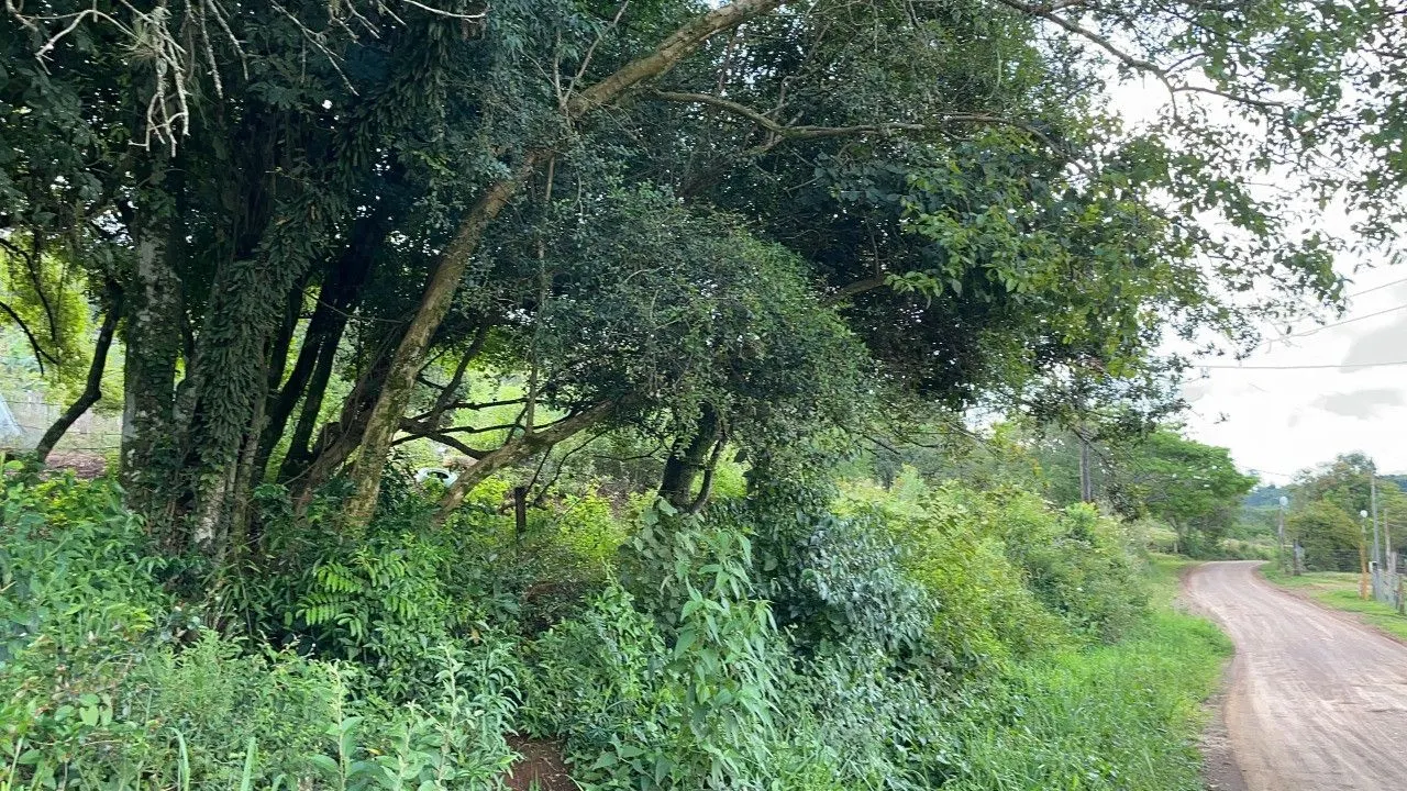 Chácara à venda de 4.300 m² em Santo Antônio da Patrulha, RS, Brasil
