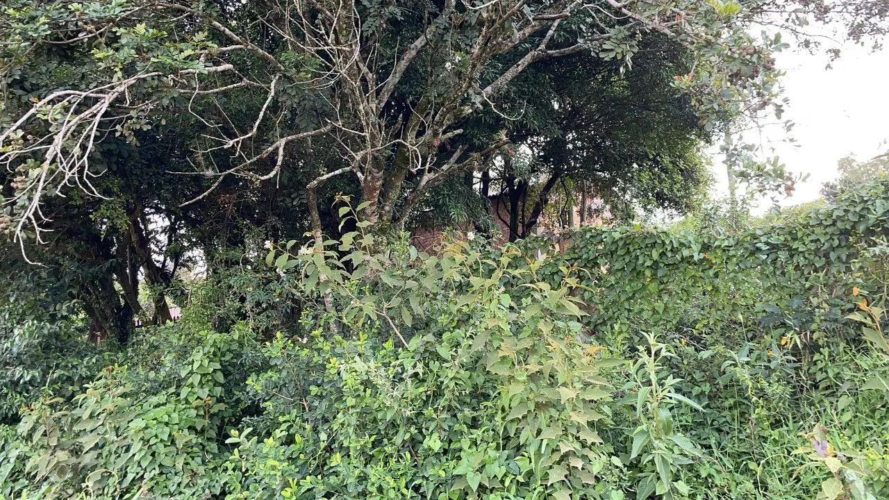 Chácara à venda de 4.300 m² em Santo Antônio da Patrulha, RS, Brasil
