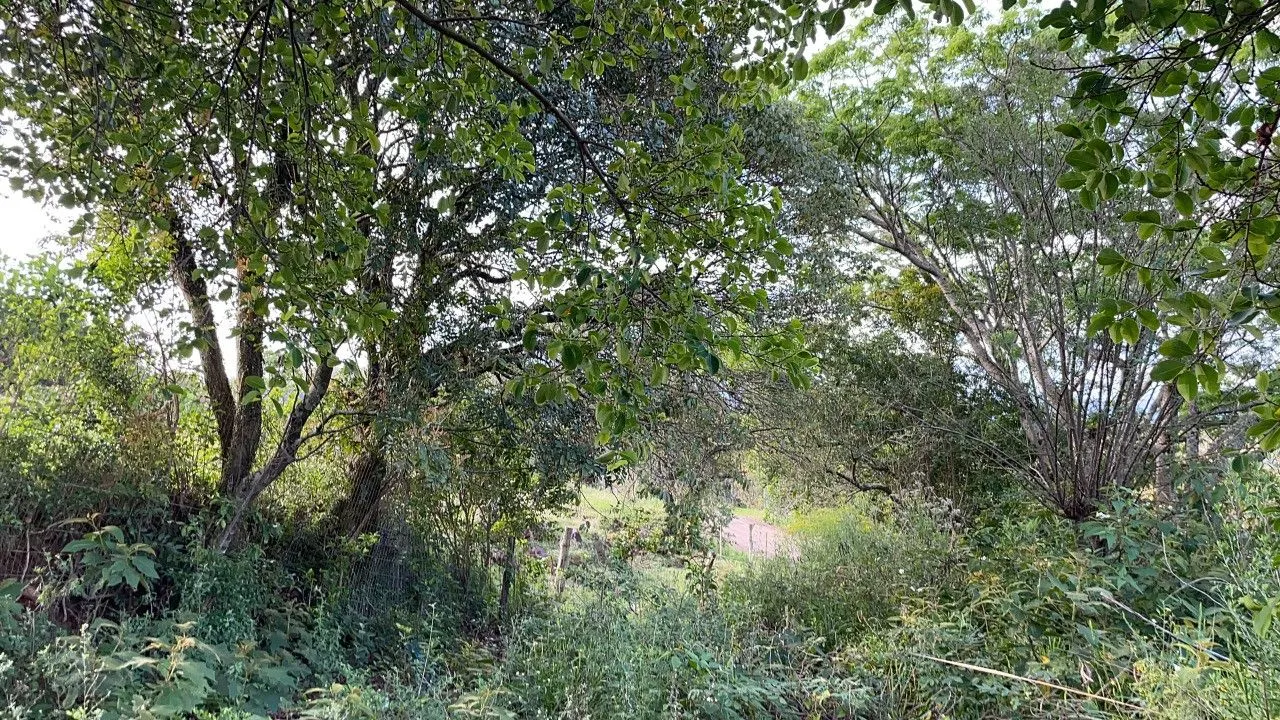Chácara à venda de 4.300 m² em Santo Antônio da Patrulha, RS, Brasil