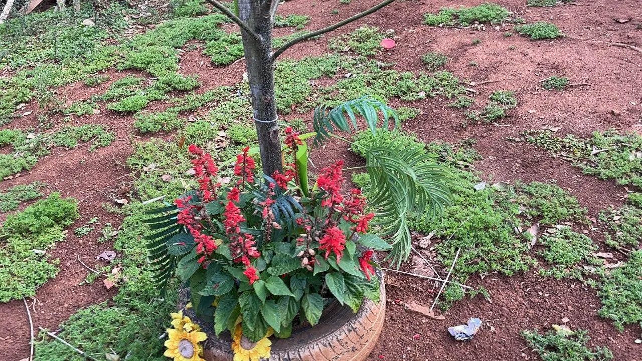 Chácara à venda de 4.300 m² em Santo Antônio da Patrulha, RS, Brasil