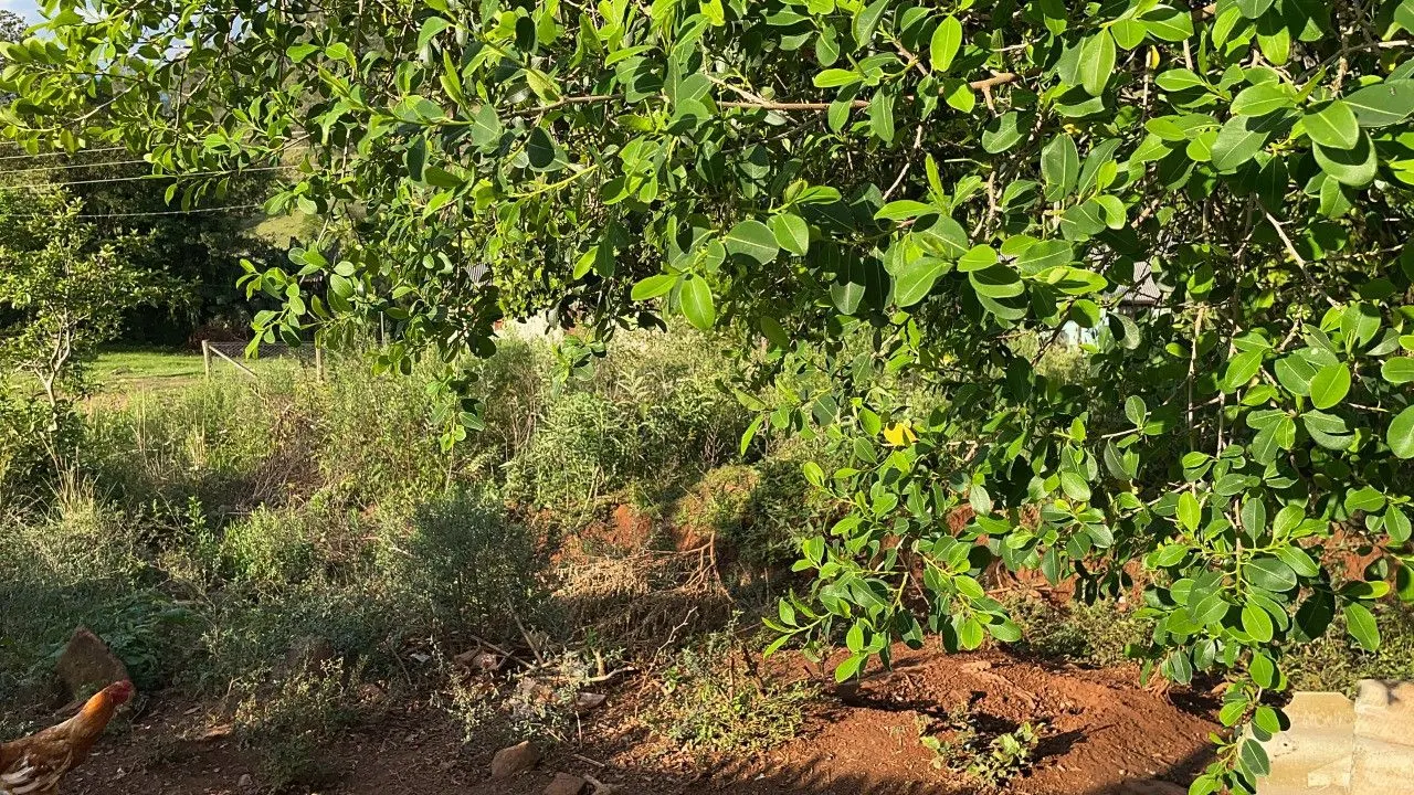 Chácara à venda de 4.300 m² em Santo Antônio da Patrulha, RS, Brasil