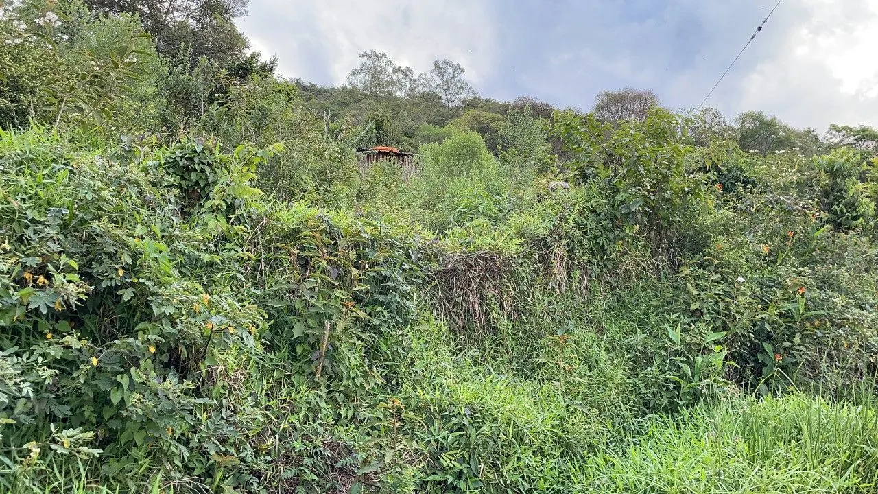 Chácara à venda de 4.300 m² em Santo Antônio da Patrulha, RS, Brasil