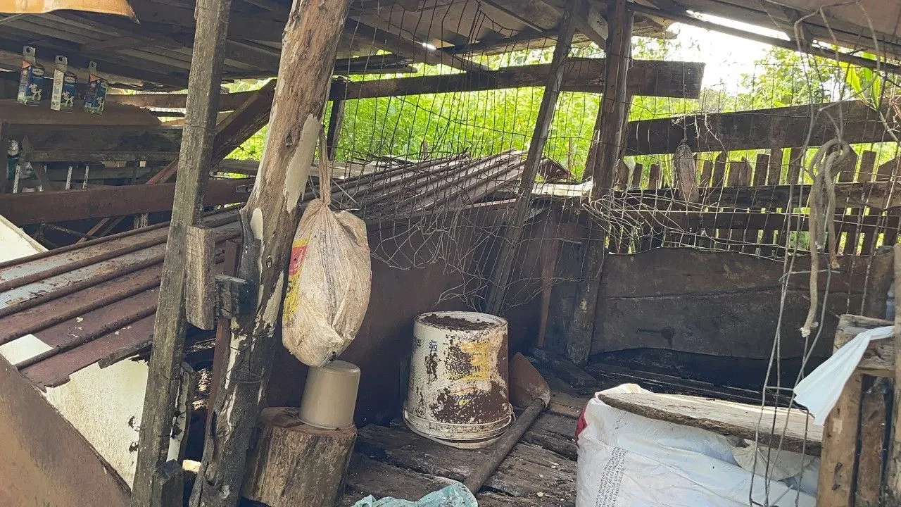 Chácara à venda de 4.300 m² em Santo Antônio da Patrulha, RS, Brasil