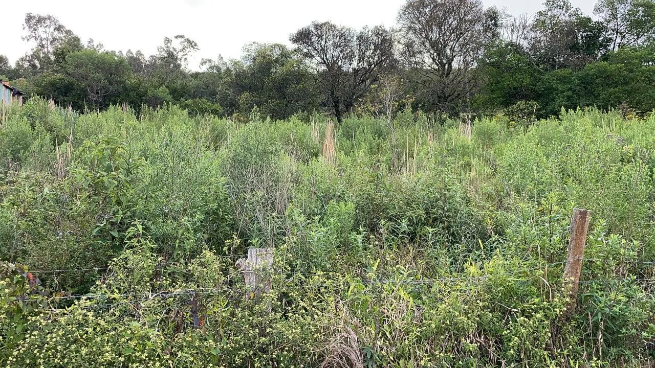Chácara à venda de 4.300 m² em Santo Antônio da Patrulha, RS, Brasil