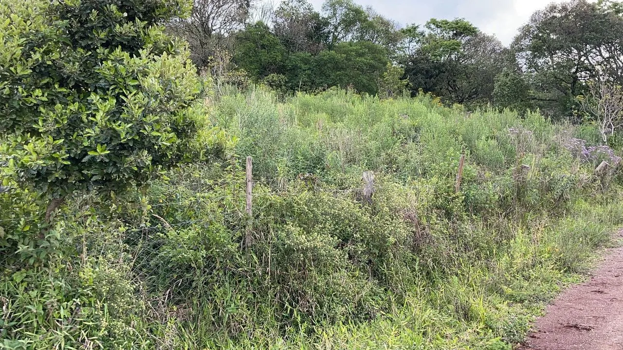 Chácara à venda de 4.300 m² em Santo Antônio da Patrulha, RS, Brasil