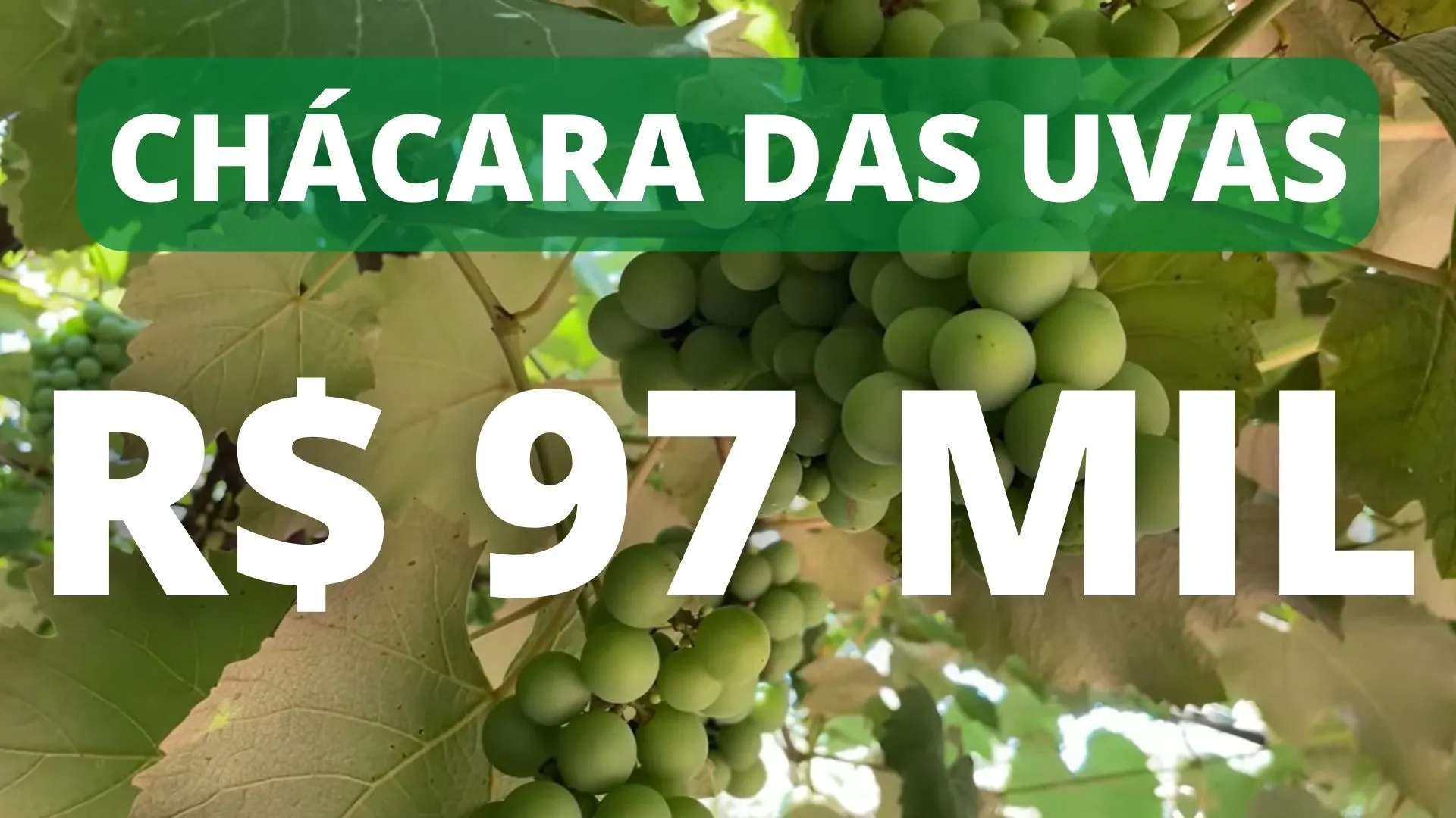 Chácara à venda de 4.300 m² em Santo Antônio da Patrulha, RS, Brasil
