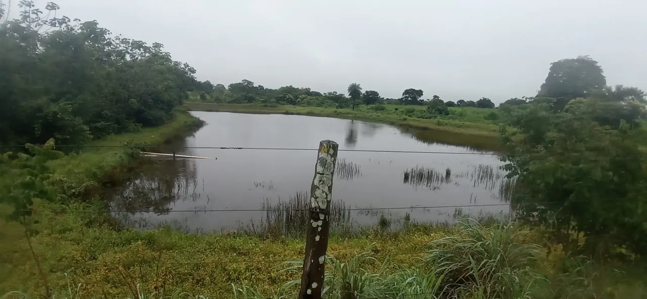 Fazenda à venda de 525 ha em Mundo Novo, GO, Brasil