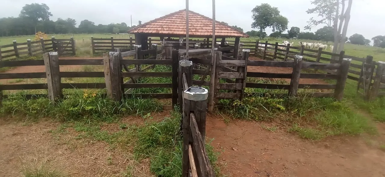 Fazenda à venda de 525 ha em Mundo Novo, GO, Brasil