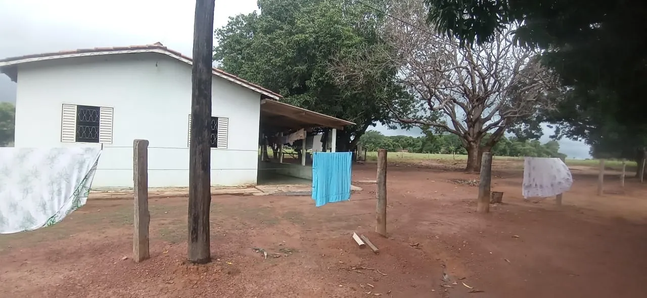 Fazenda à venda de 525 ha em Mundo Novo, GO, Brasil