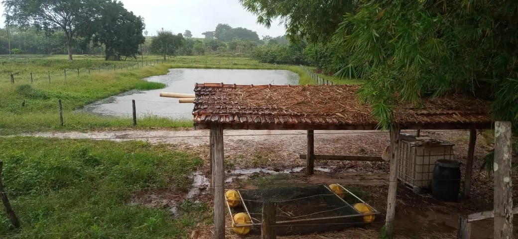 Fazenda à venda de 525 ha em Mundo Novo, GO, Brasil