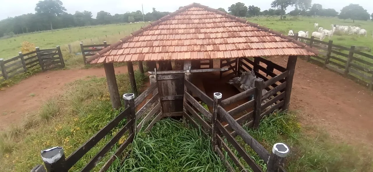 Fazenda à venda de 525 ha em Mundo Novo, GO, Brasil