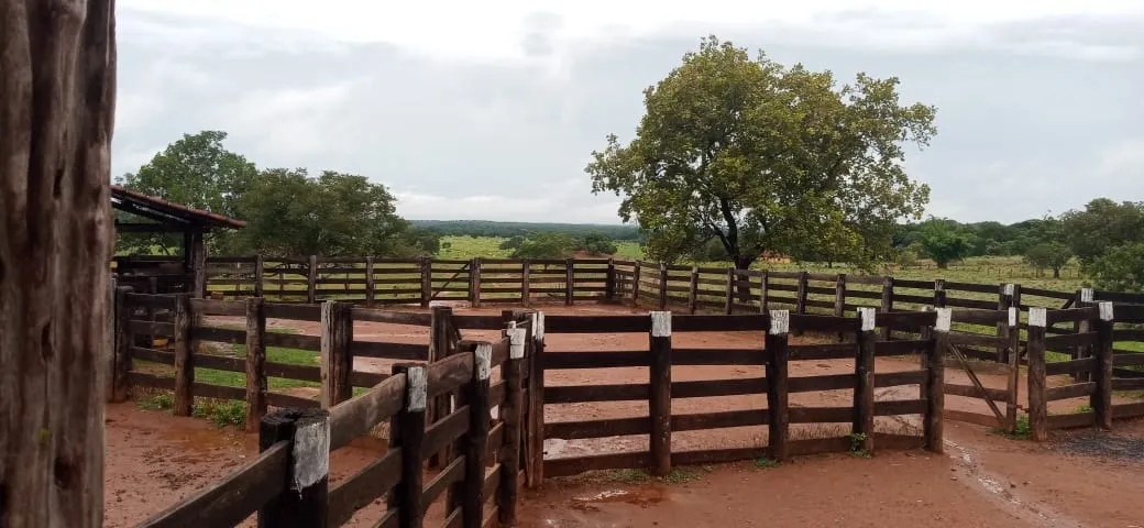 Fazenda à venda de 525 ha em Mundo Novo, GO, Brasil