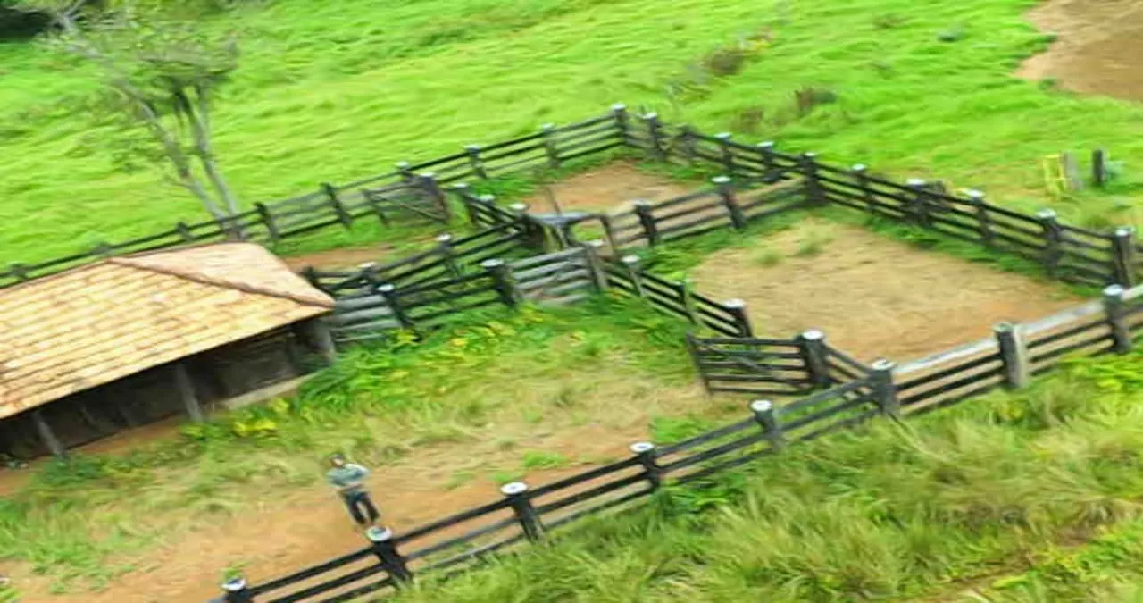 Fazenda à venda de 525 ha em Mundo Novo, GO, Brasil
