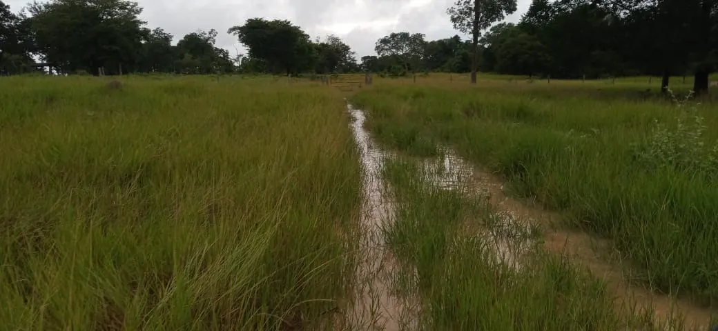 Fazenda à venda de 525 ha em Mundo Novo, GO, Brasil