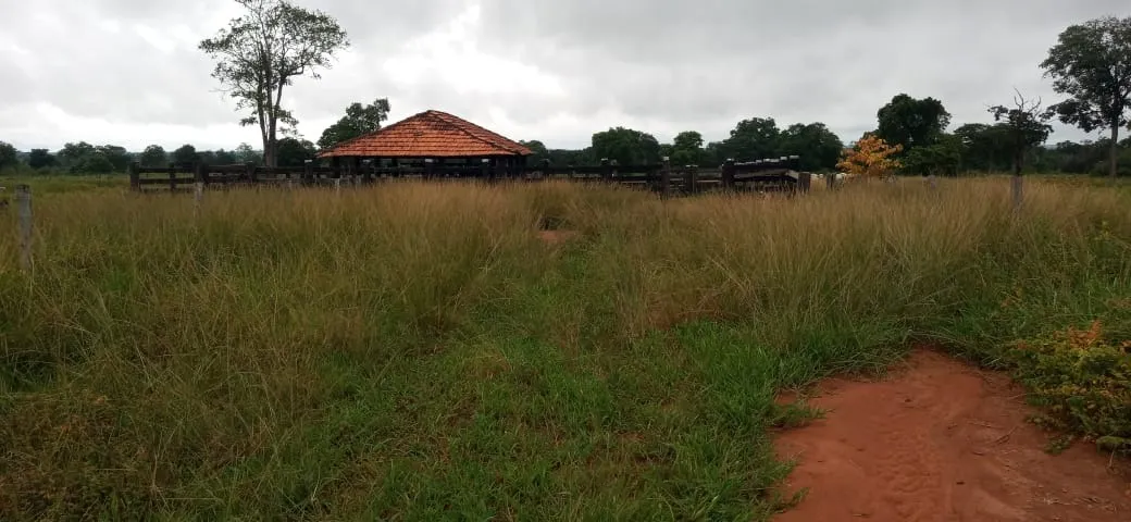 Fazenda à venda de 525 ha em Mundo Novo, GO, Brasil