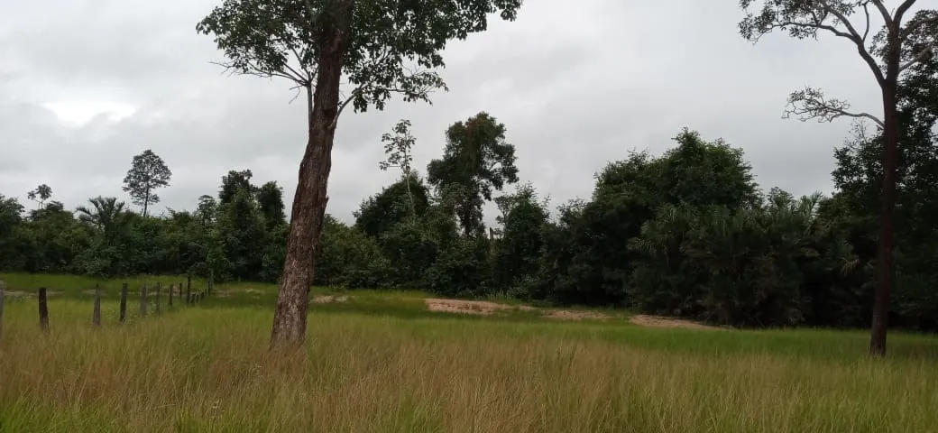 Fazenda à venda de 525 ha em Mundo Novo, GO, Brasil