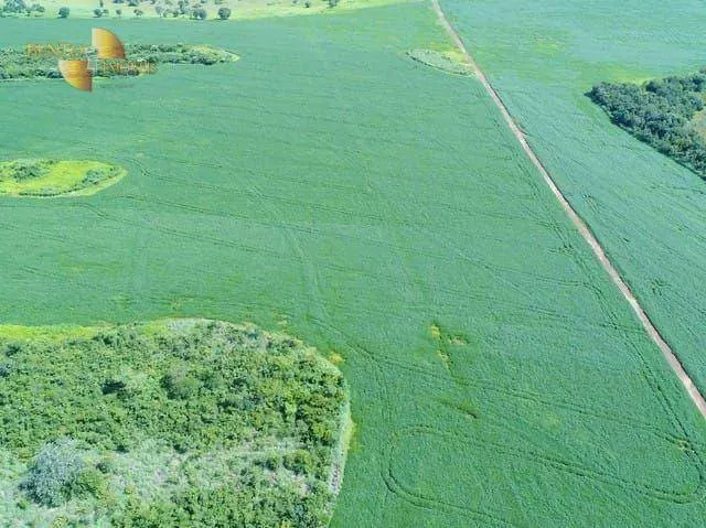 Fazenda à venda de 1.210 ha em Peixe, TO, Brasil