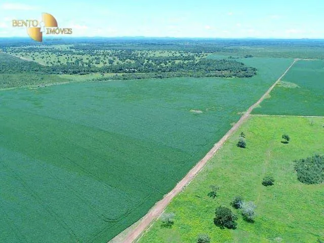 Fazenda à venda de 1.210 ha em Peixe, TO, Brasil