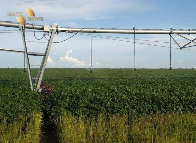 Fazenda à venda de 1.210 ha em Peixe, TO, Brasil