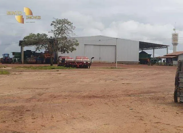 Fazenda à venda de 1.210 ha em Peixe, TO, Brasil