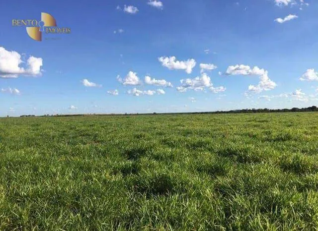 Fazenda à venda de 1.210 ha em Peixe, TO, Brasil