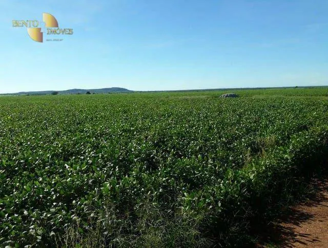 Fazenda à venda de 1.210 ha em Peixe, TO, Brasil