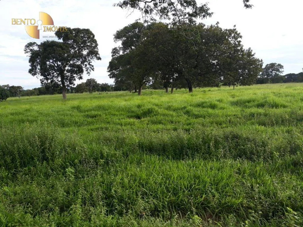 Fazenda à venda de 1.210 ha em Peixe, TO, Brasil