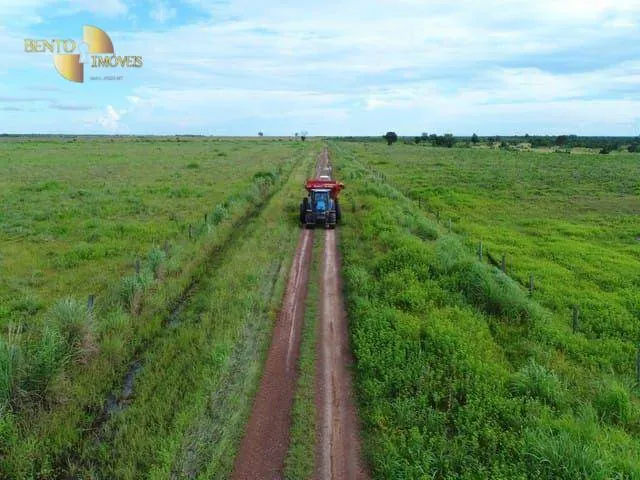 Fazenda à venda de 1.210 ha em Peixe, TO, Brasil