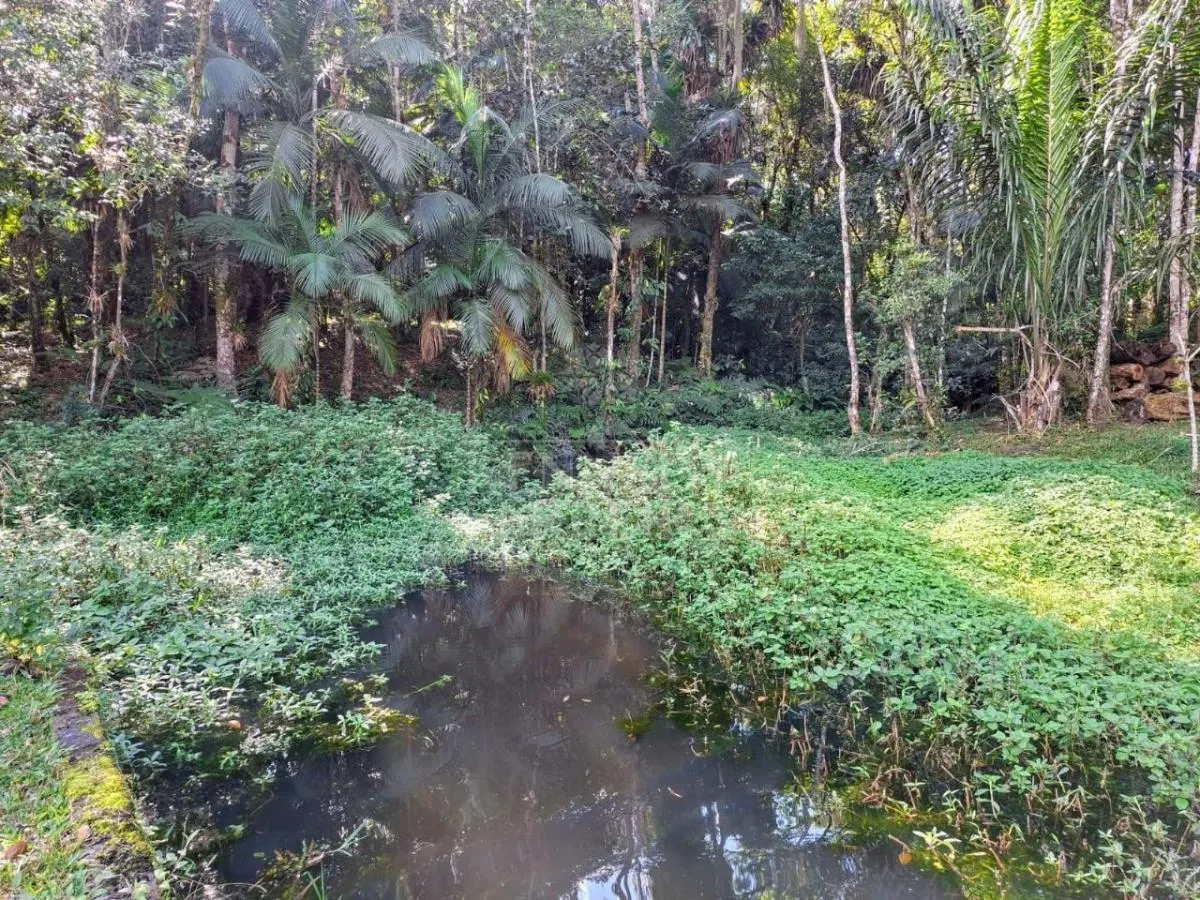 Chácara à venda de 2 ha em Juquitiba, SP, Brasil