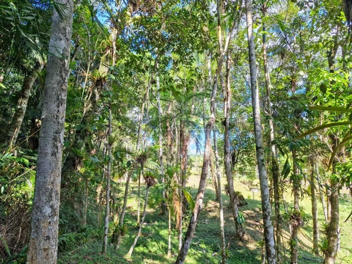 Chácara à venda de 2 ha em Juquitiba, SP, Brasil
